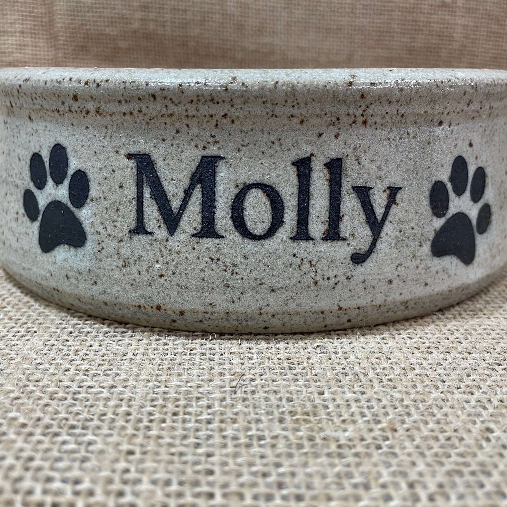 Pet bowl with 'Molly' and paw prints on a textured surface