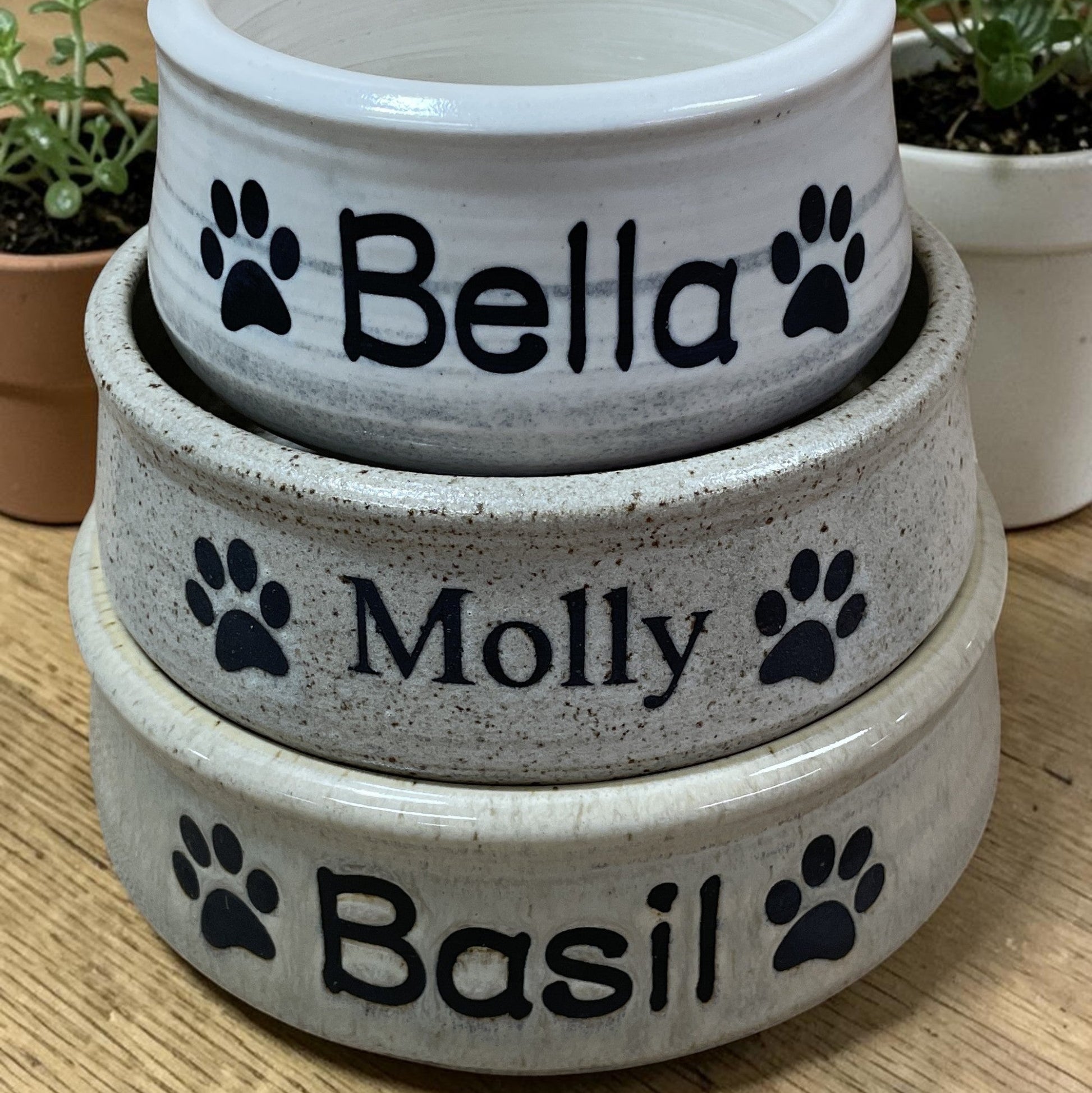Three stacked ceramic pet bowls with names 'Bella', 'Molly', and 'Basil' on a wooden surface.