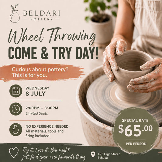 Come & Try Day - Wheel Throwing - Wed 8 July