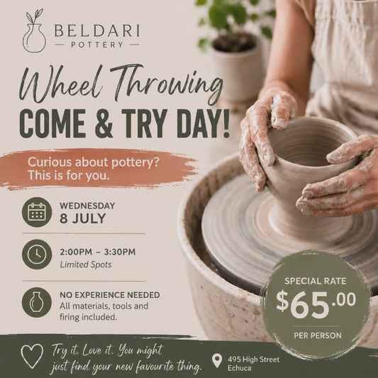 Come & Try Day - Wheel Throwing - Wed 8 July